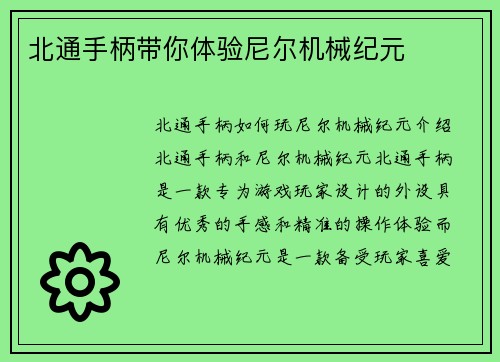 北通手柄带你体验尼尔机械纪元